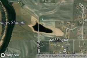 Reeds Slough