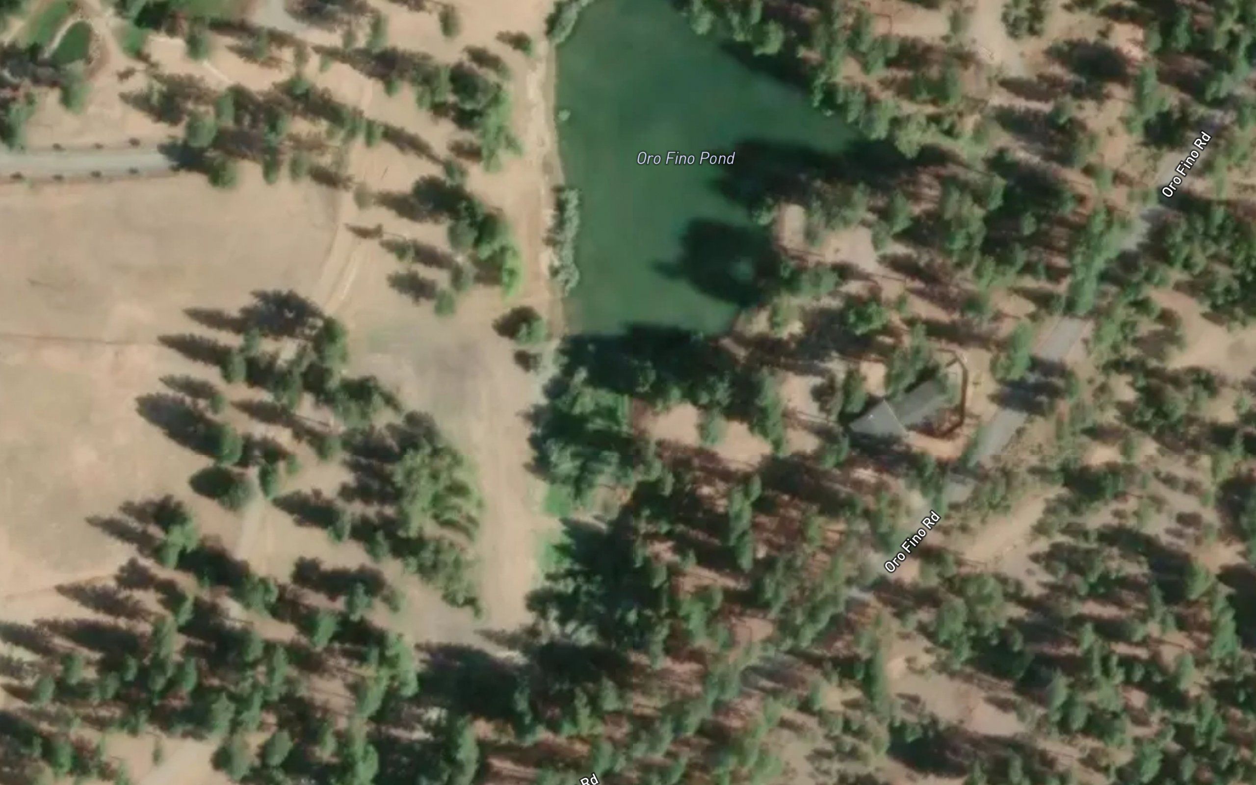 Oro Fino Pond