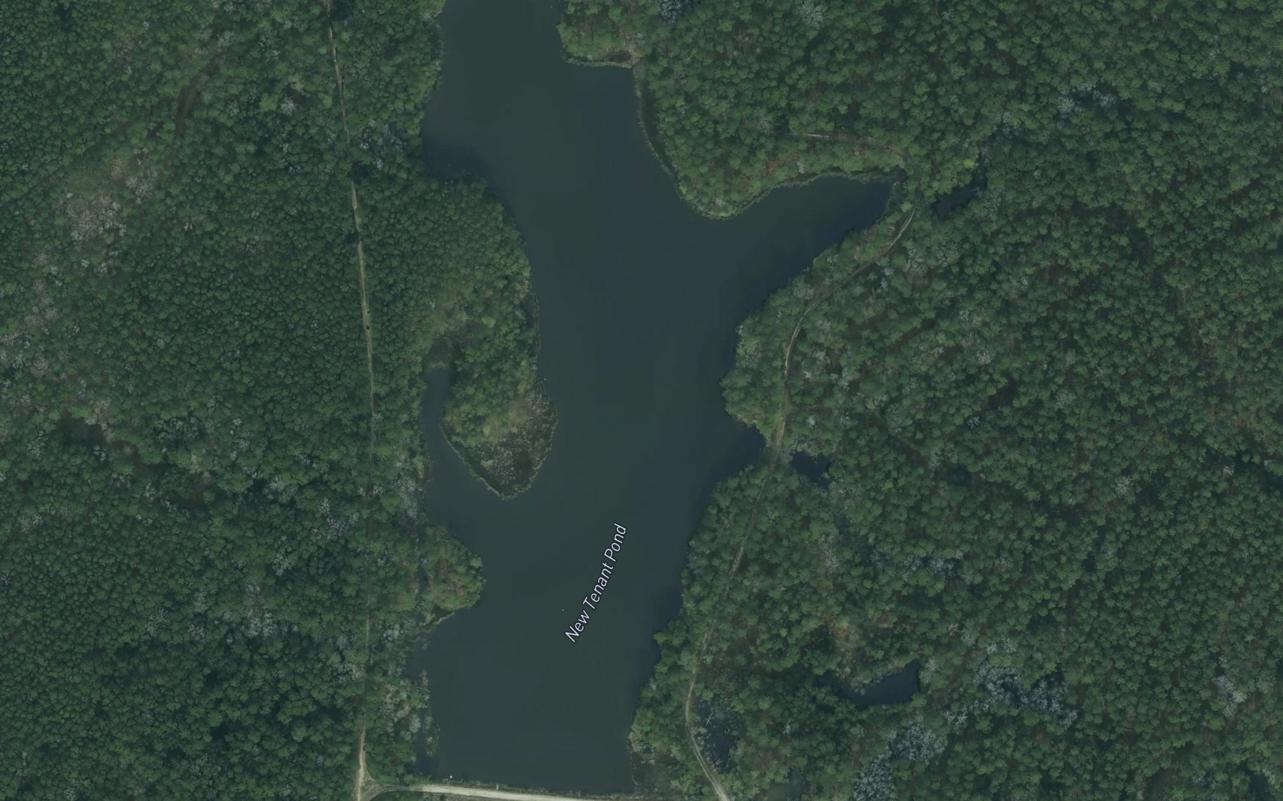 Satellite map of the New Tenant Pond