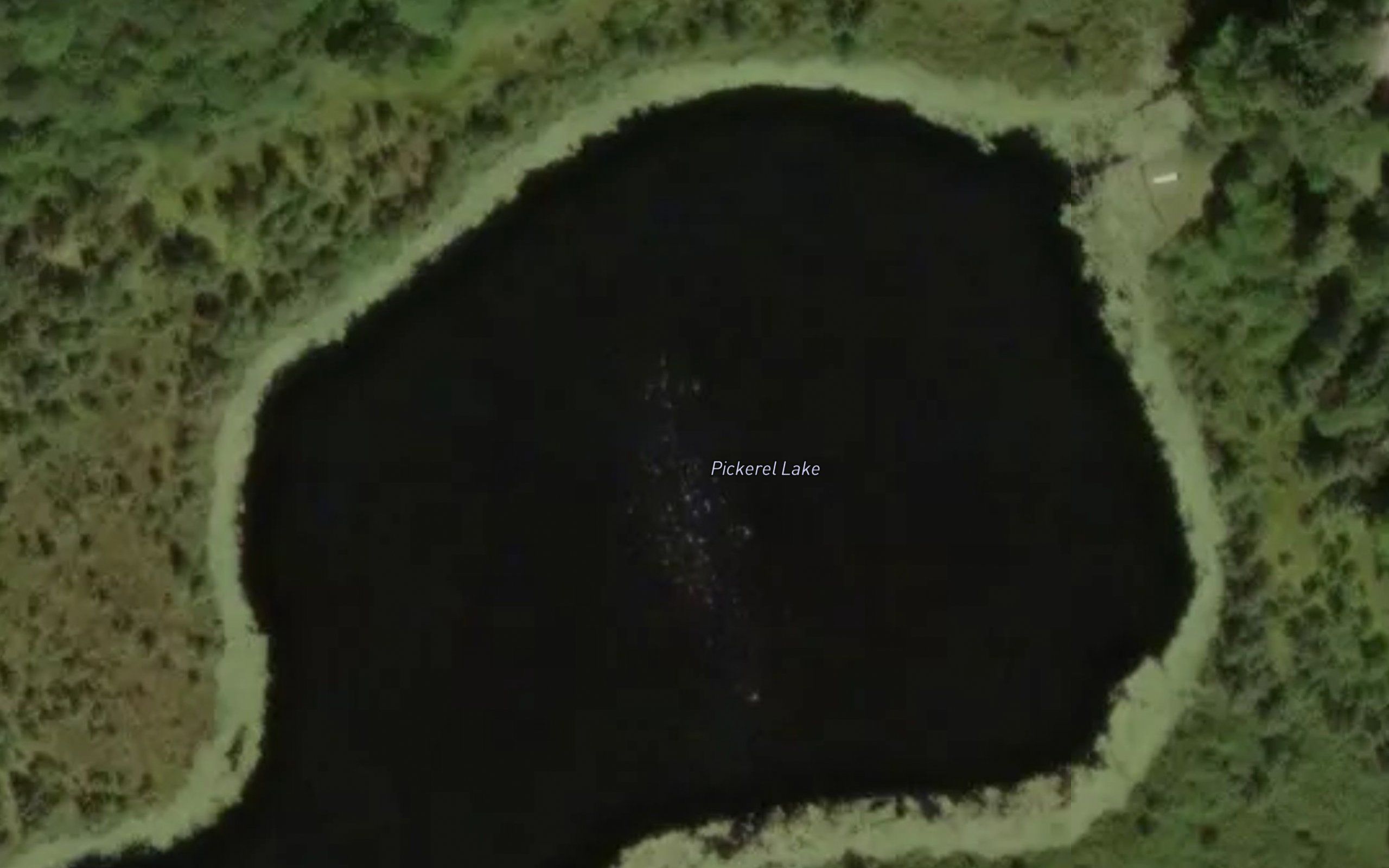 Pickerel Lake