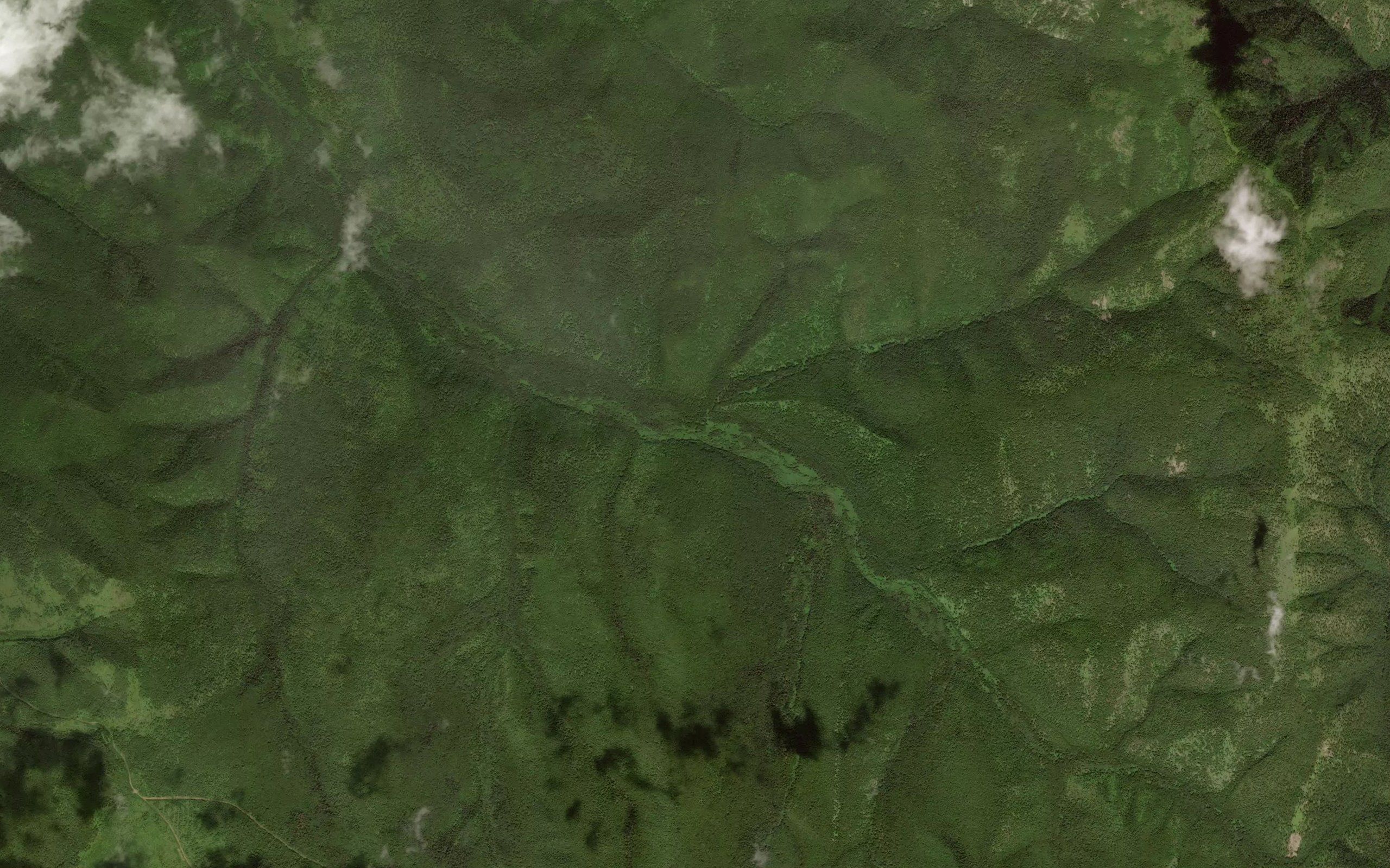 Kustarnik