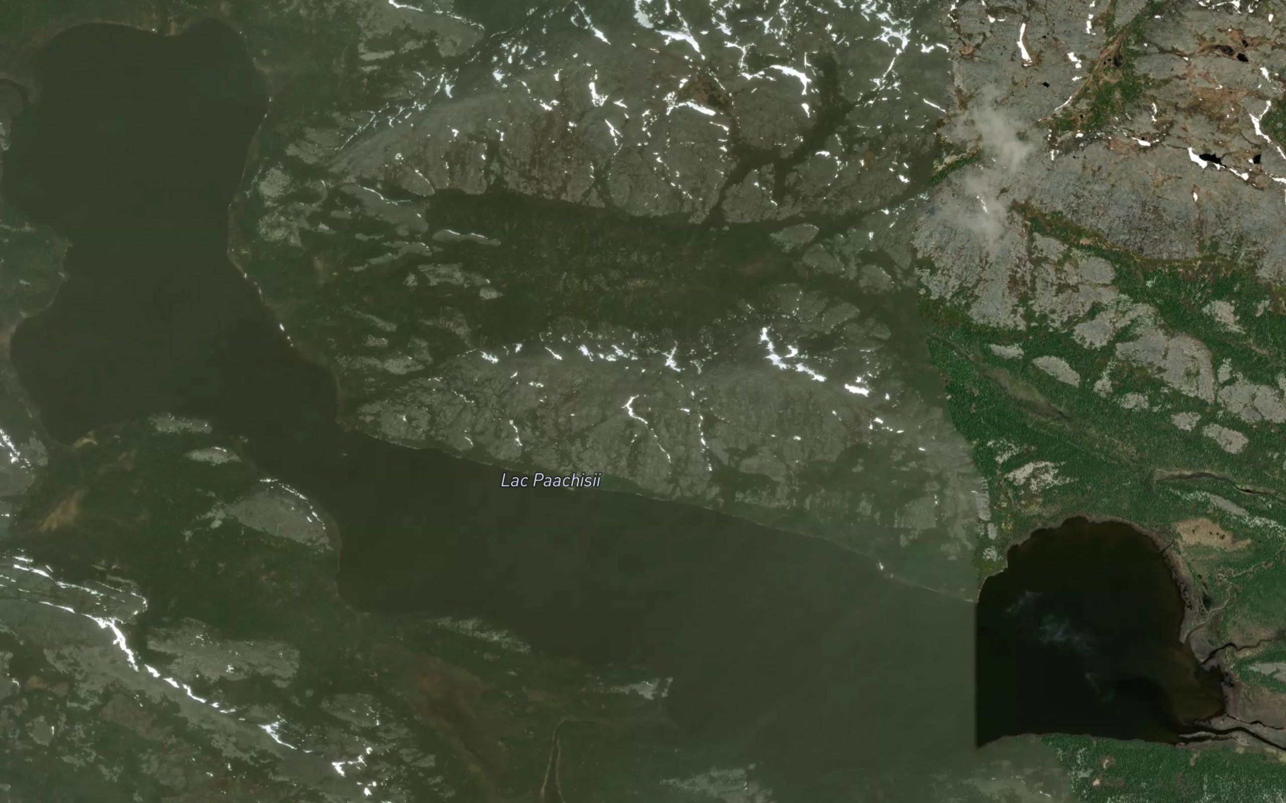 Lac Paachisii
