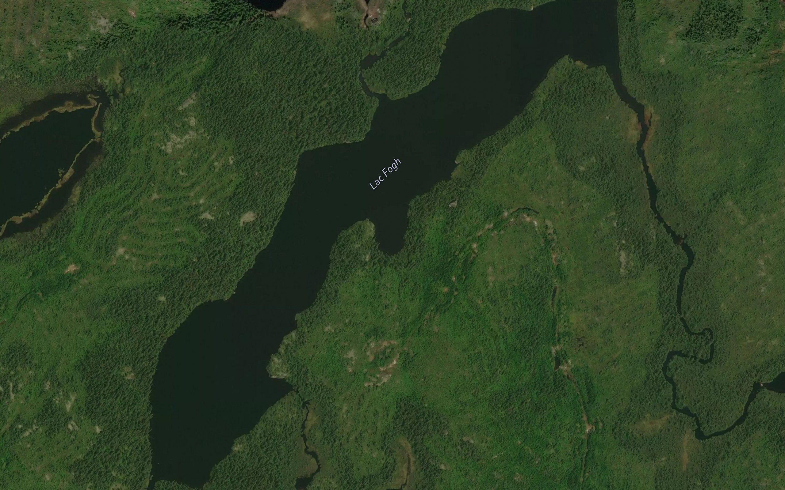 Lac Fogh