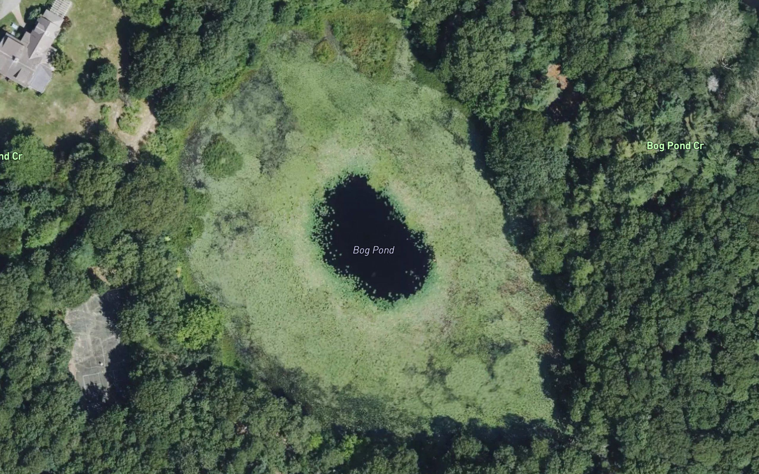 Bog Pond