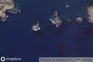 Tanaangis