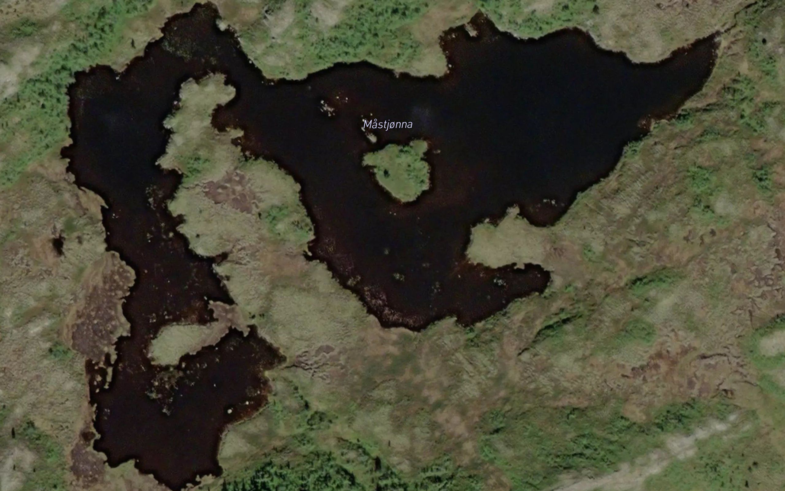 Masetjorna