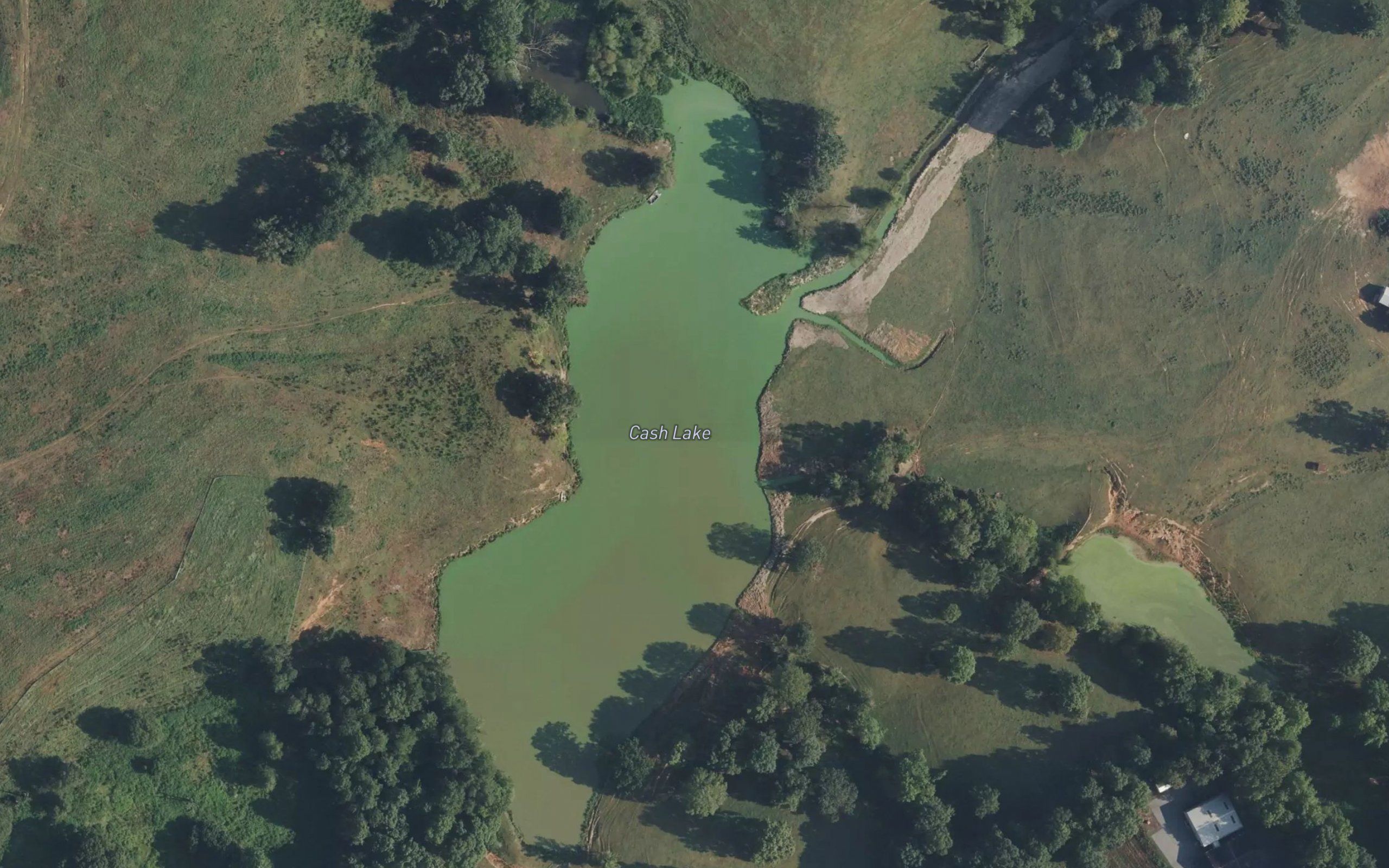 Cash Lake