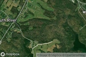 Deer Branch