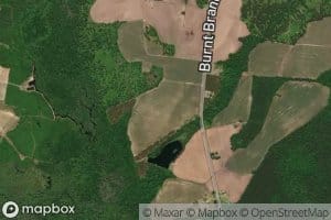 Buddin Pond
