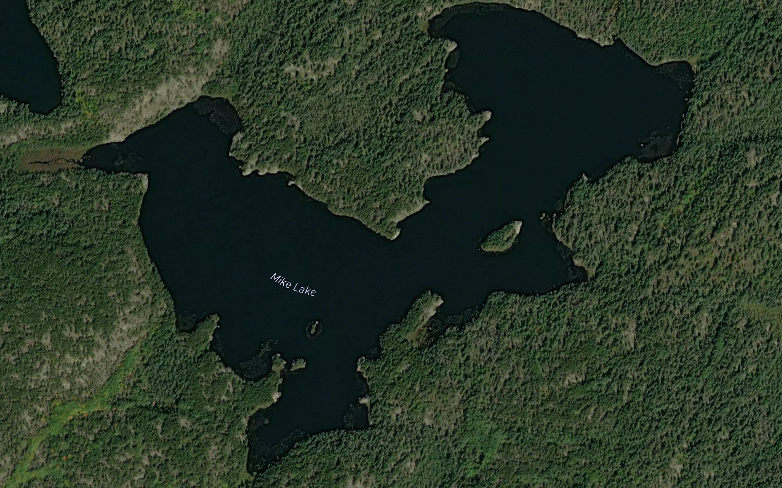 Mike Lake
