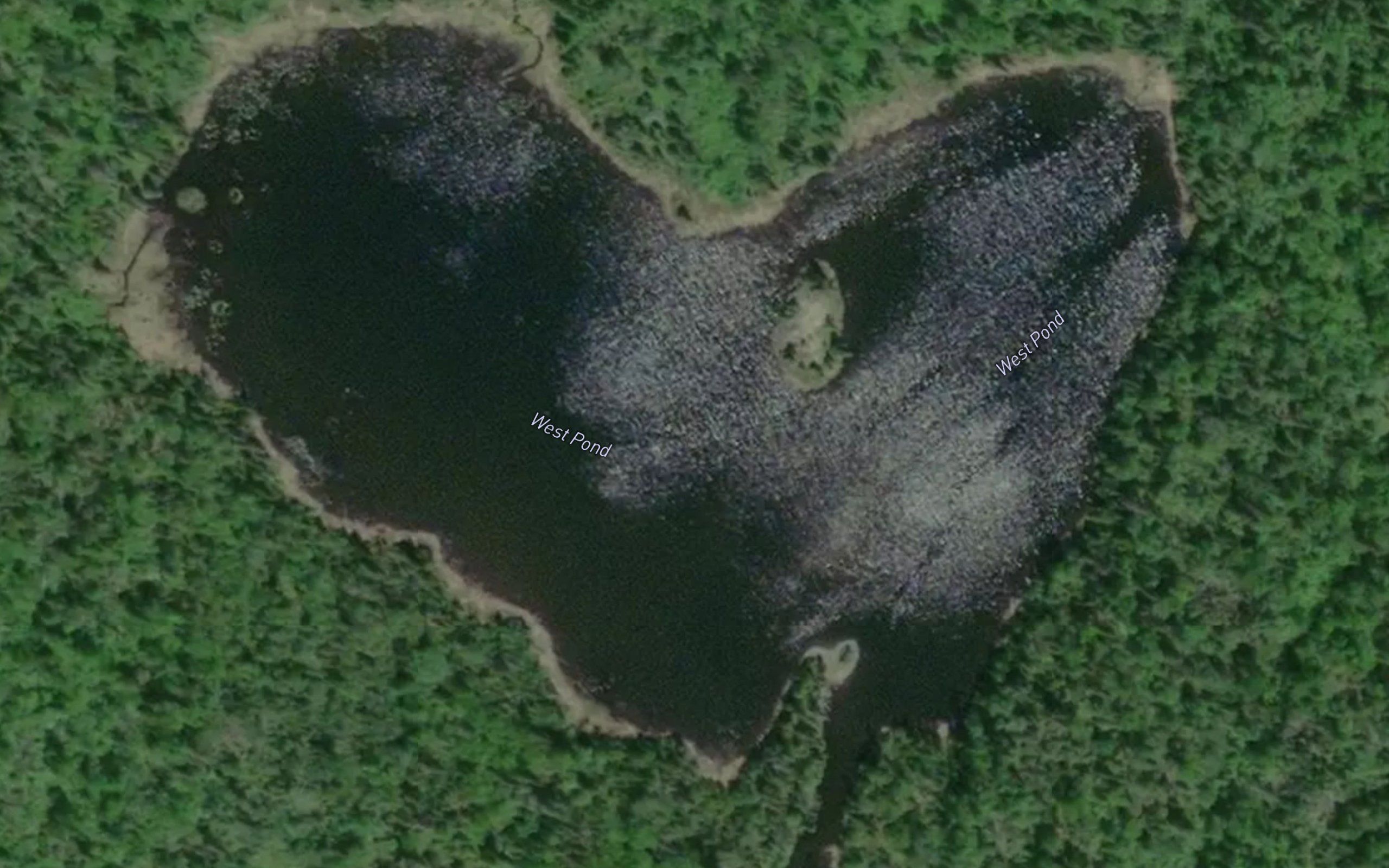 West Pond