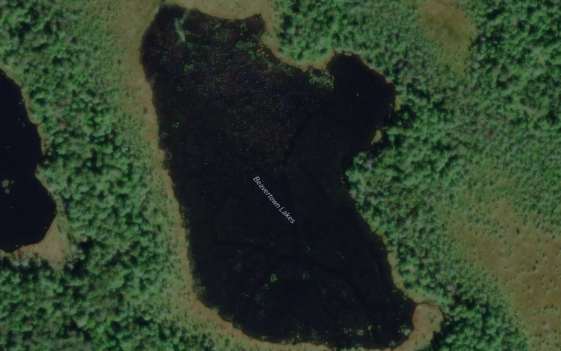 Satellite map of the Beavertown Lakes