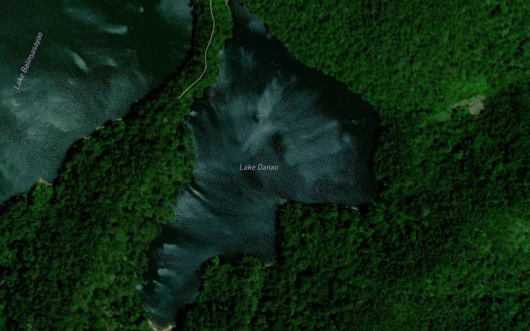 Satellite map of the Lake Danao