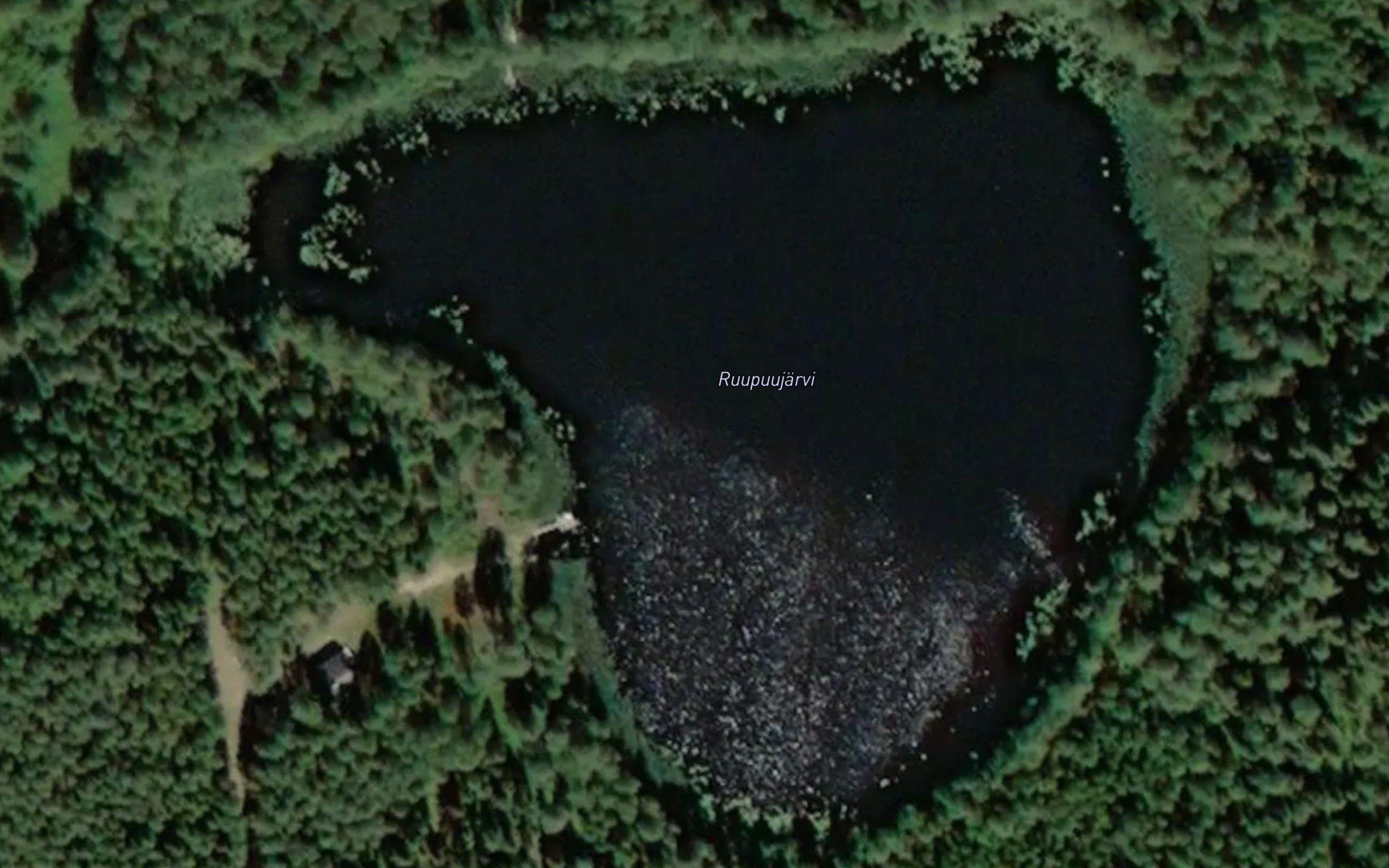 Ruupuujarvi
