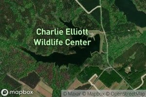 Boyle Lake Number Five