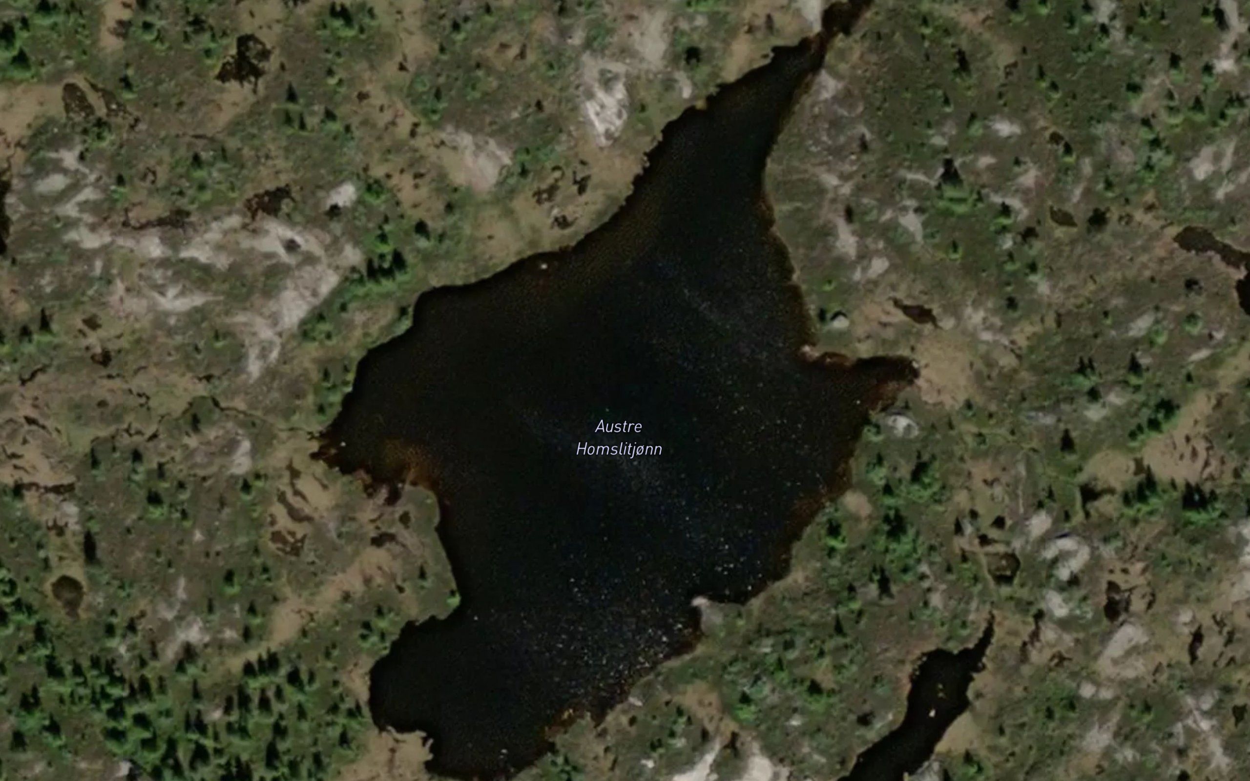 Austre Homslitjonn