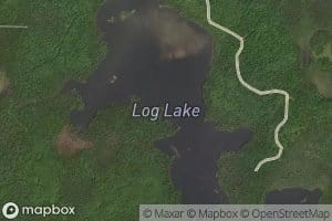 Log Lake