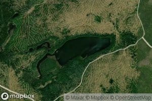 Grass Pond