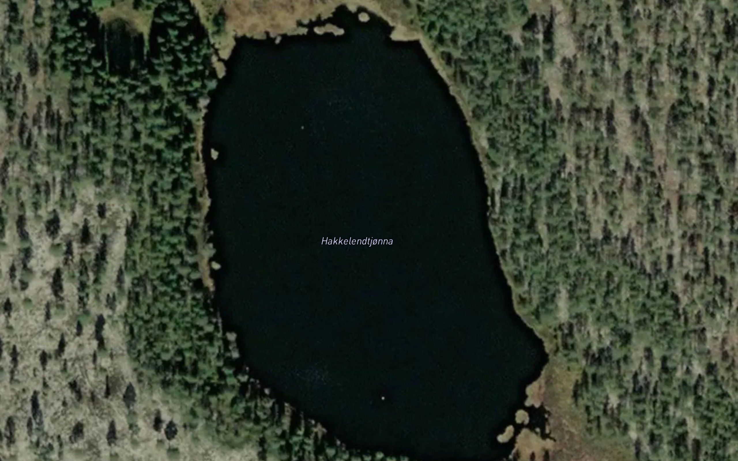 Hakkelendtjorna