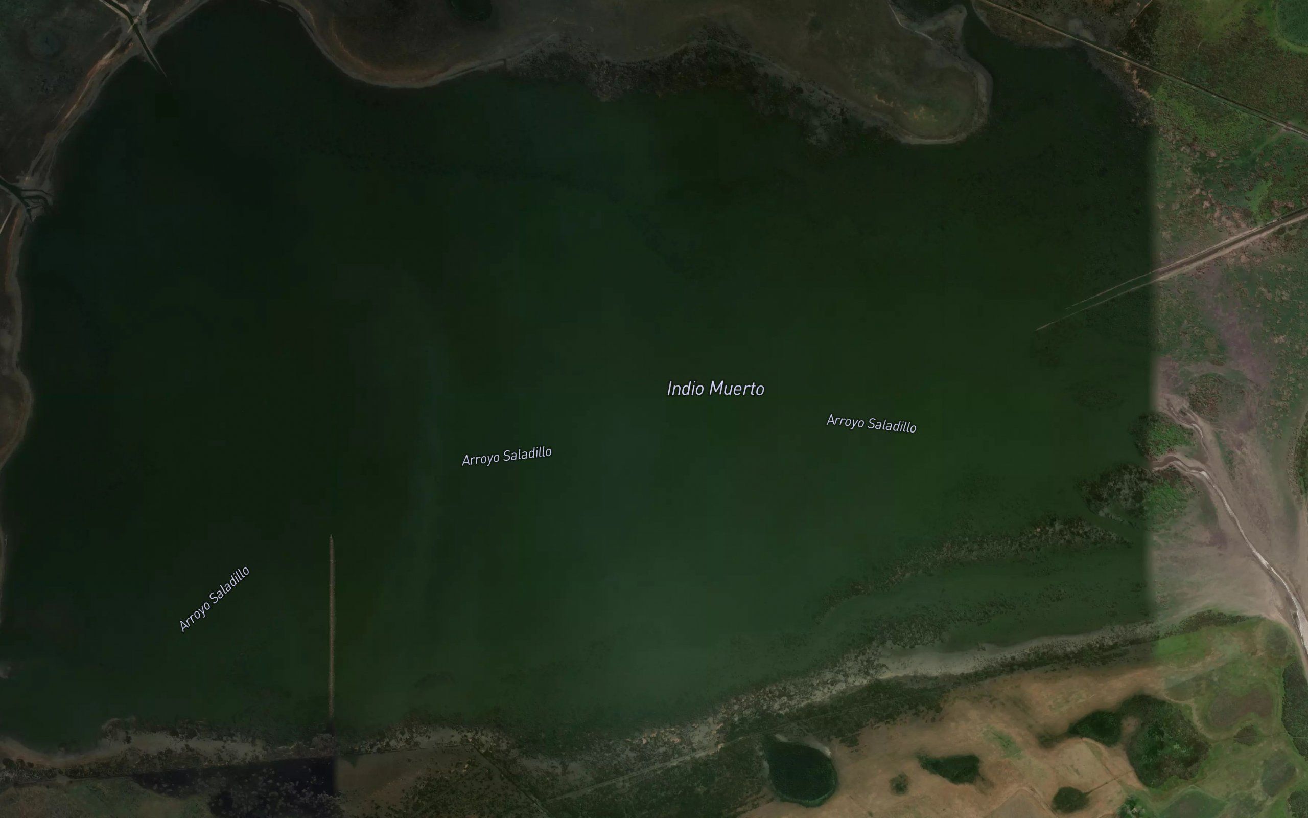 Laguna Indio Muerto