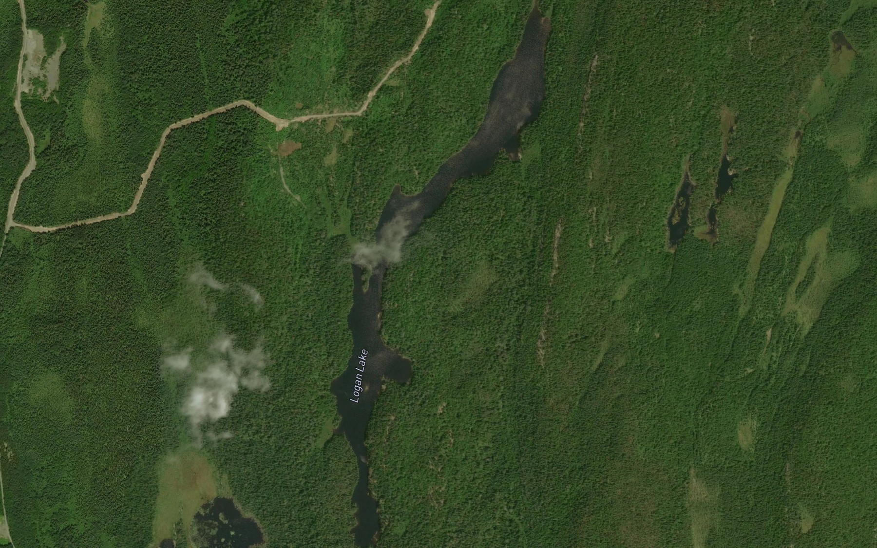 Satellite map of the Logan Lake