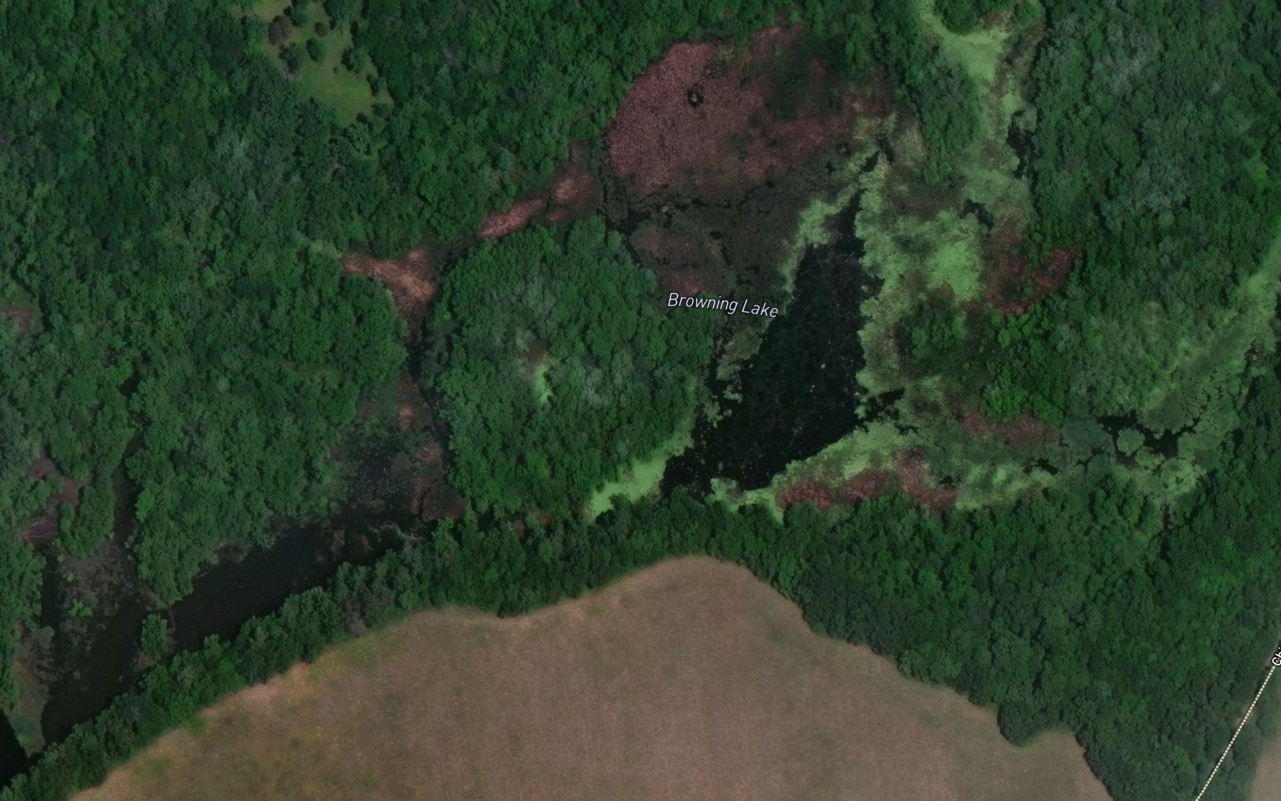 Browning Lake