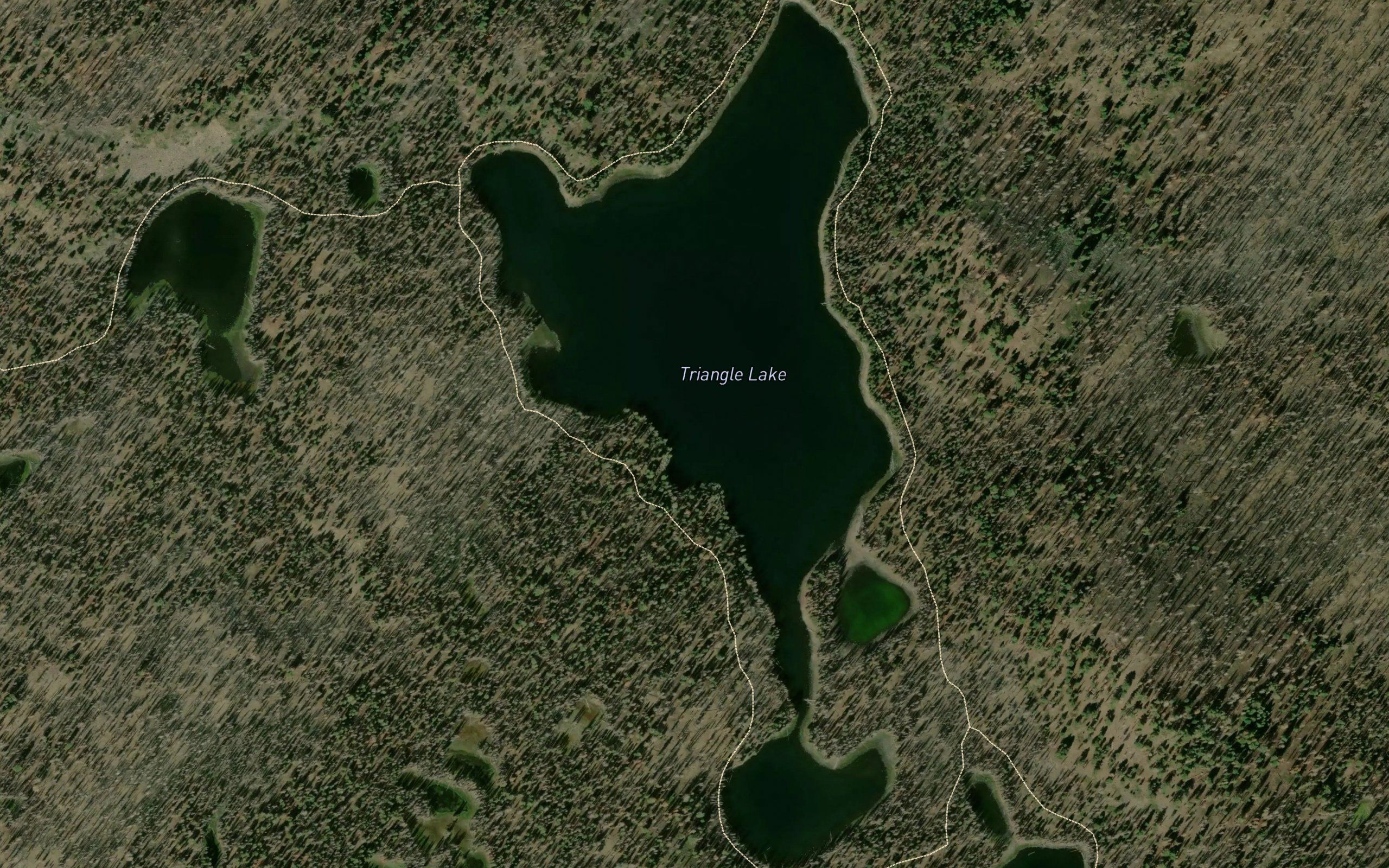 Triangle Lake