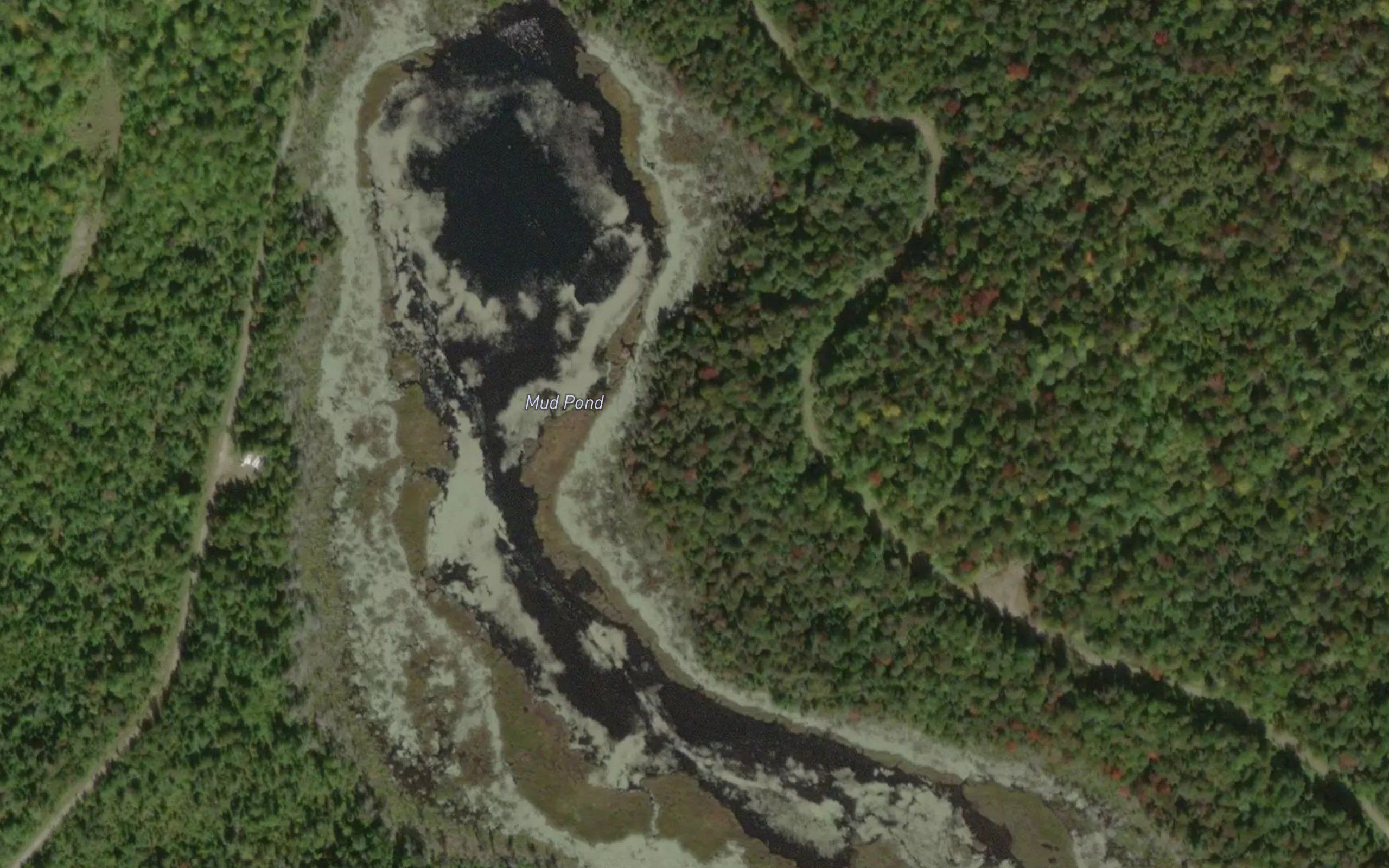 Mud Pond