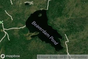 Beaverdam Pond