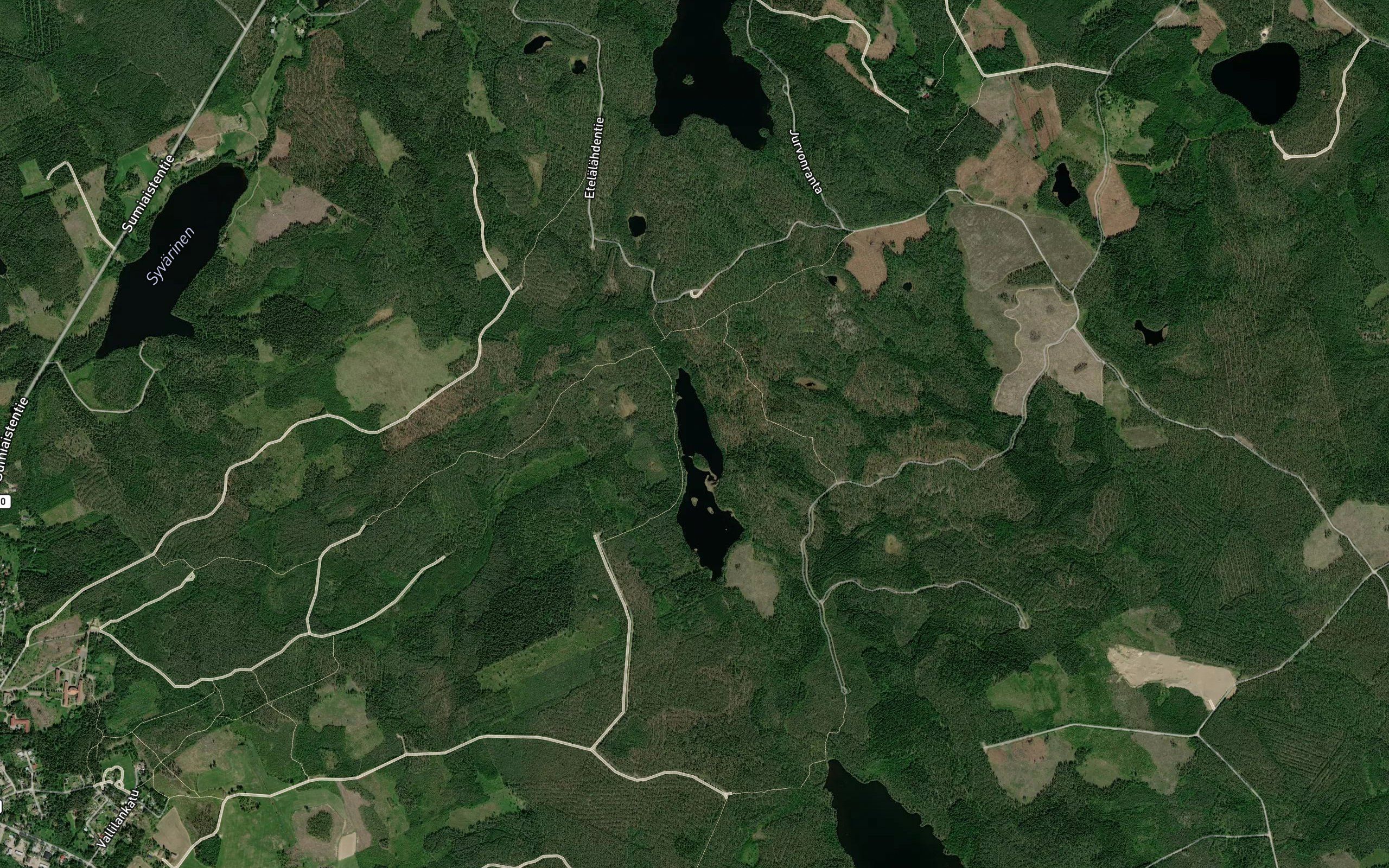 Saarikas