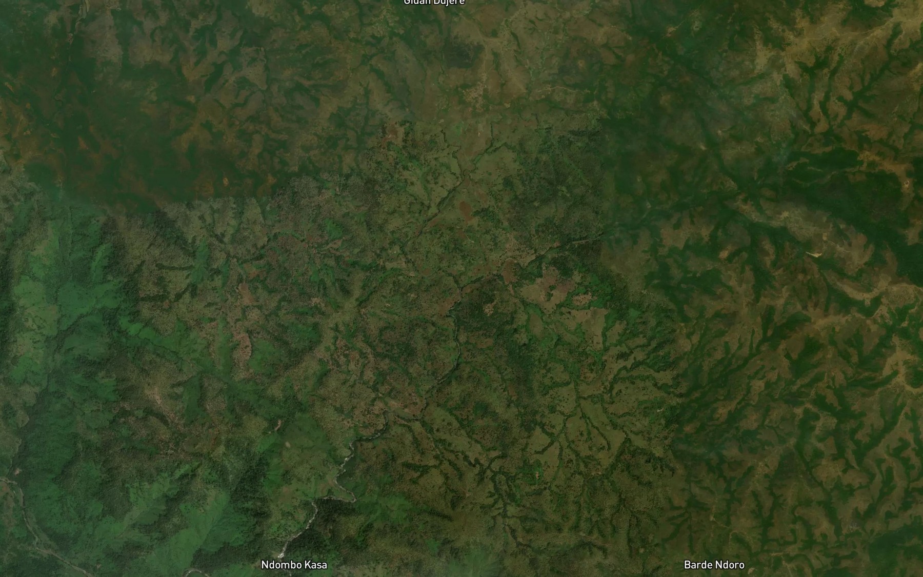Satellite map of the River Danko
