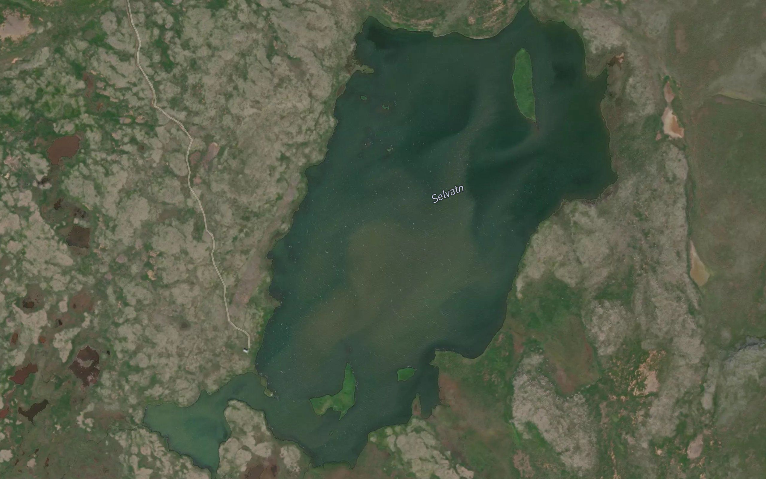 Selvatn