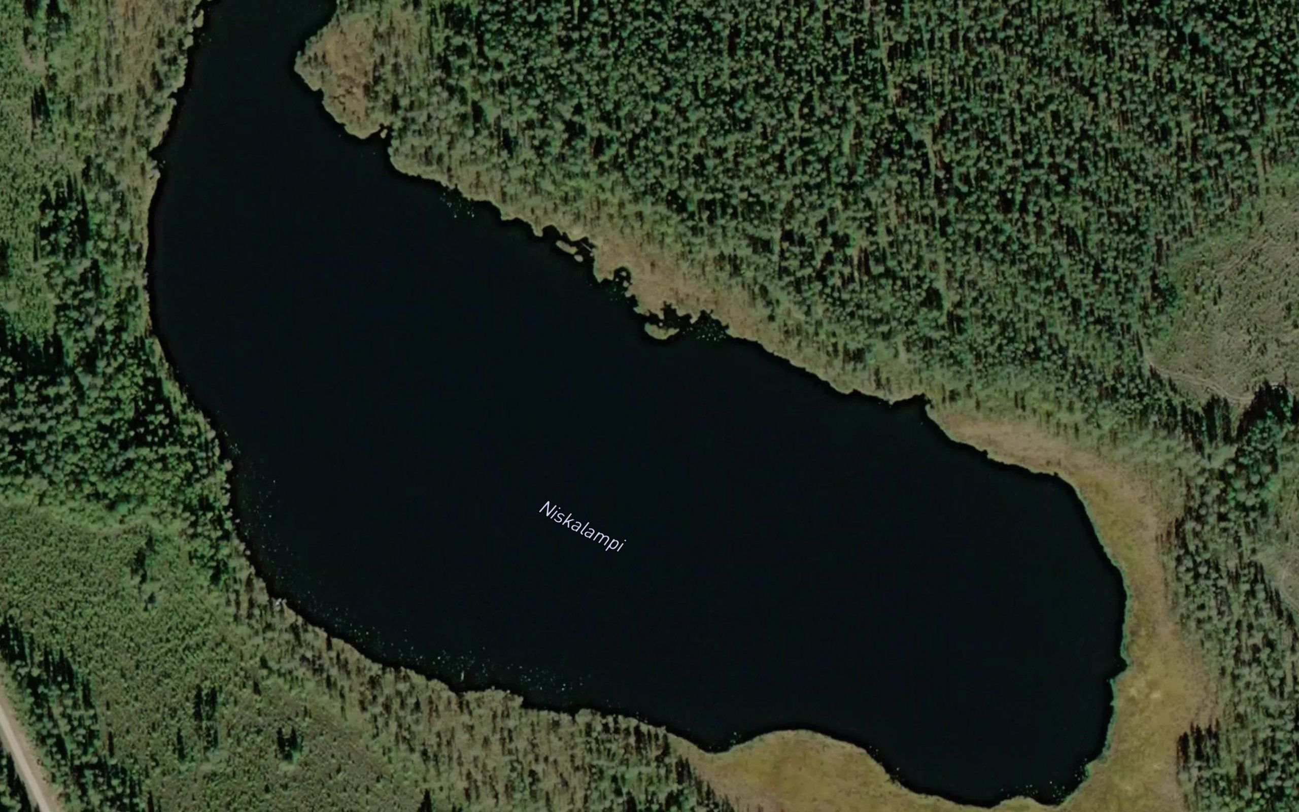 Niskalampi