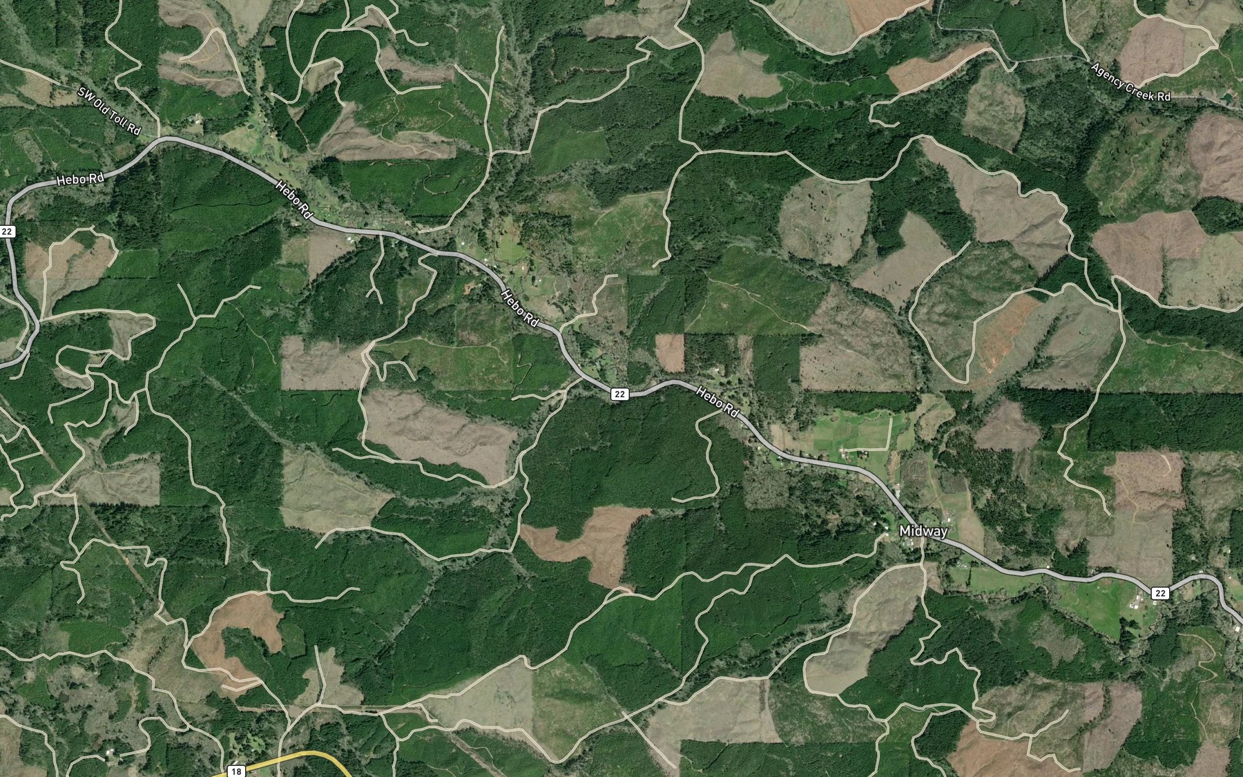 Cedar Creek Fishing in Oregon 2026 — Live Reports, Forecast & AI ...