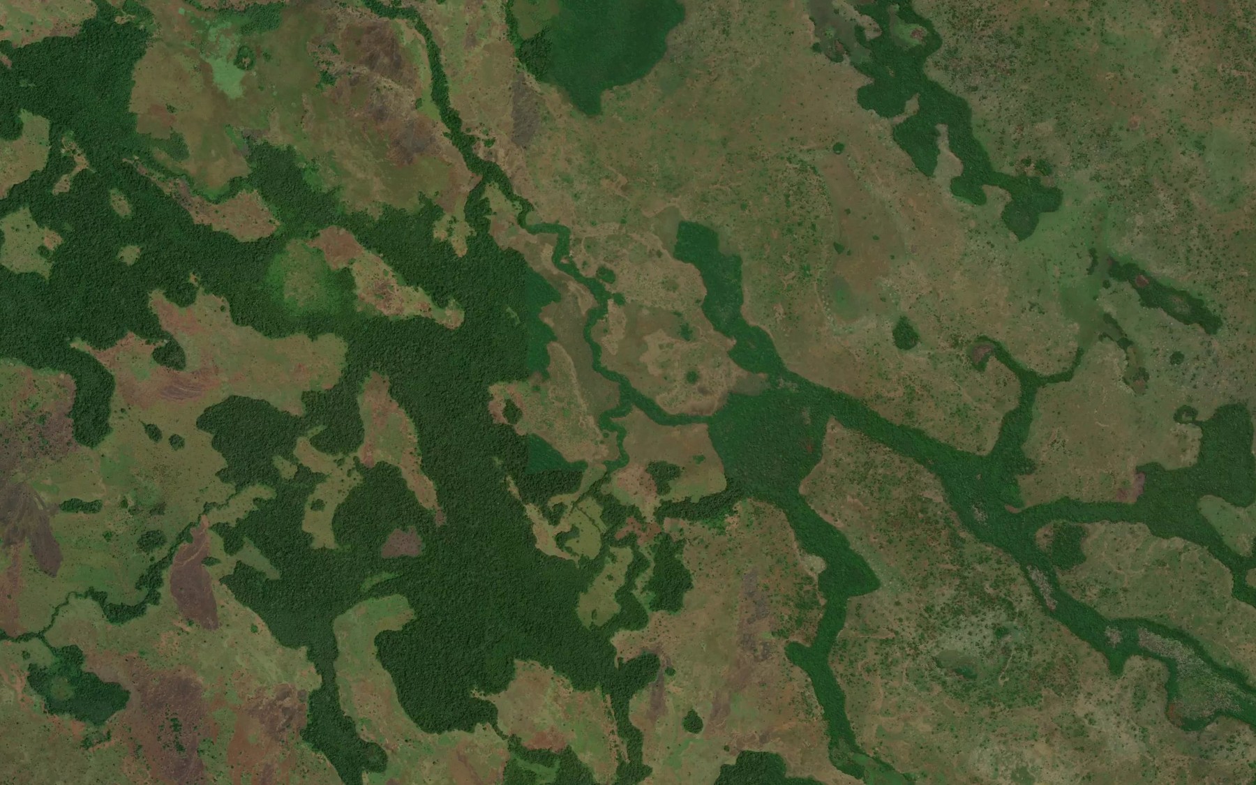 Satellite map of the Djambi