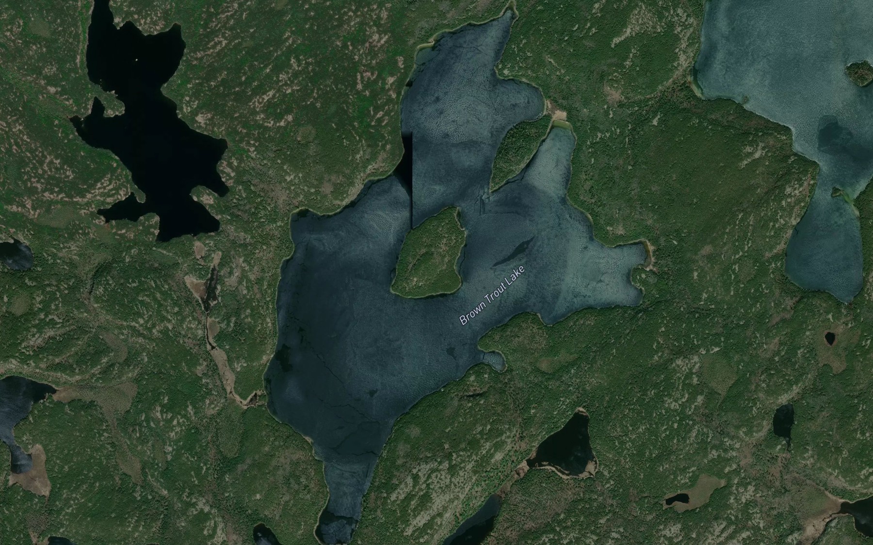 Satellite map of the Brown Trout Lake