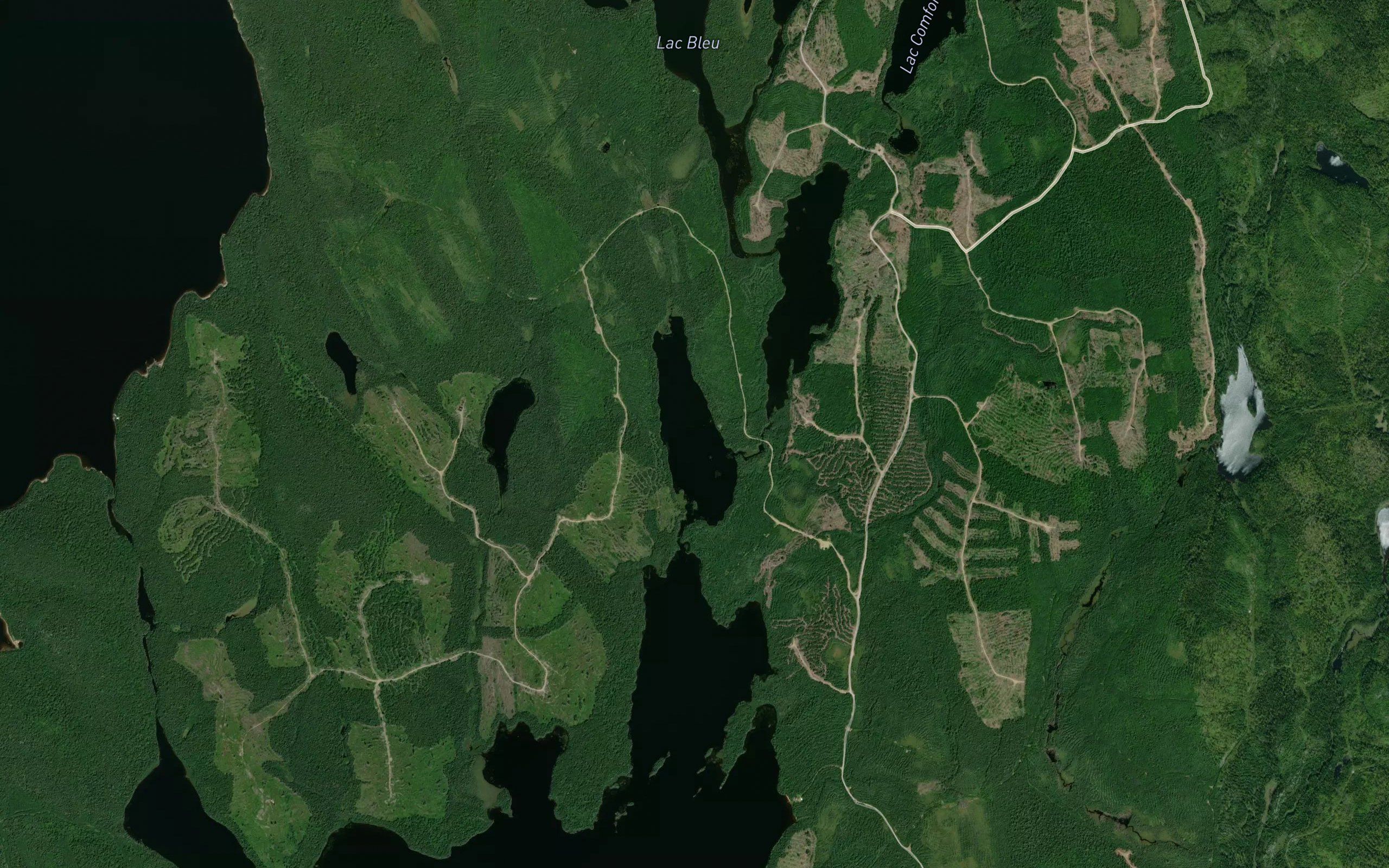 Lac Ella