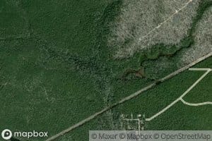 Piney Creek