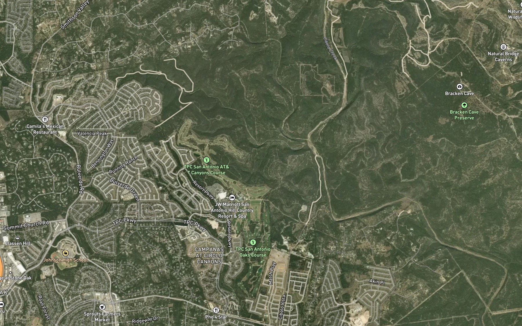 Satellite map of the Devine Spring