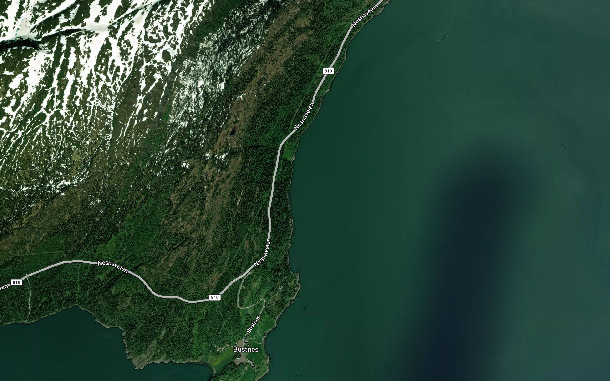 Kvitsteinvika