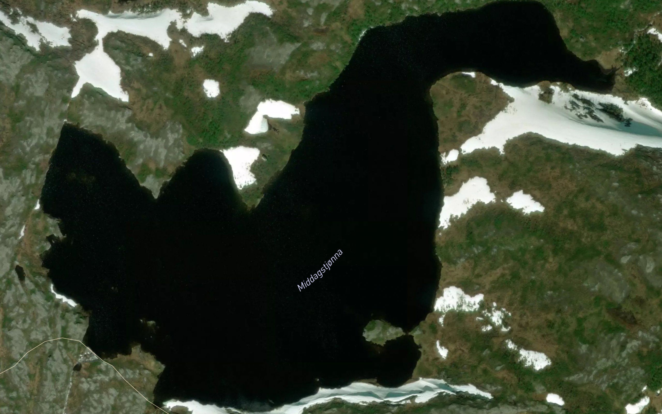 Middagstjorna
