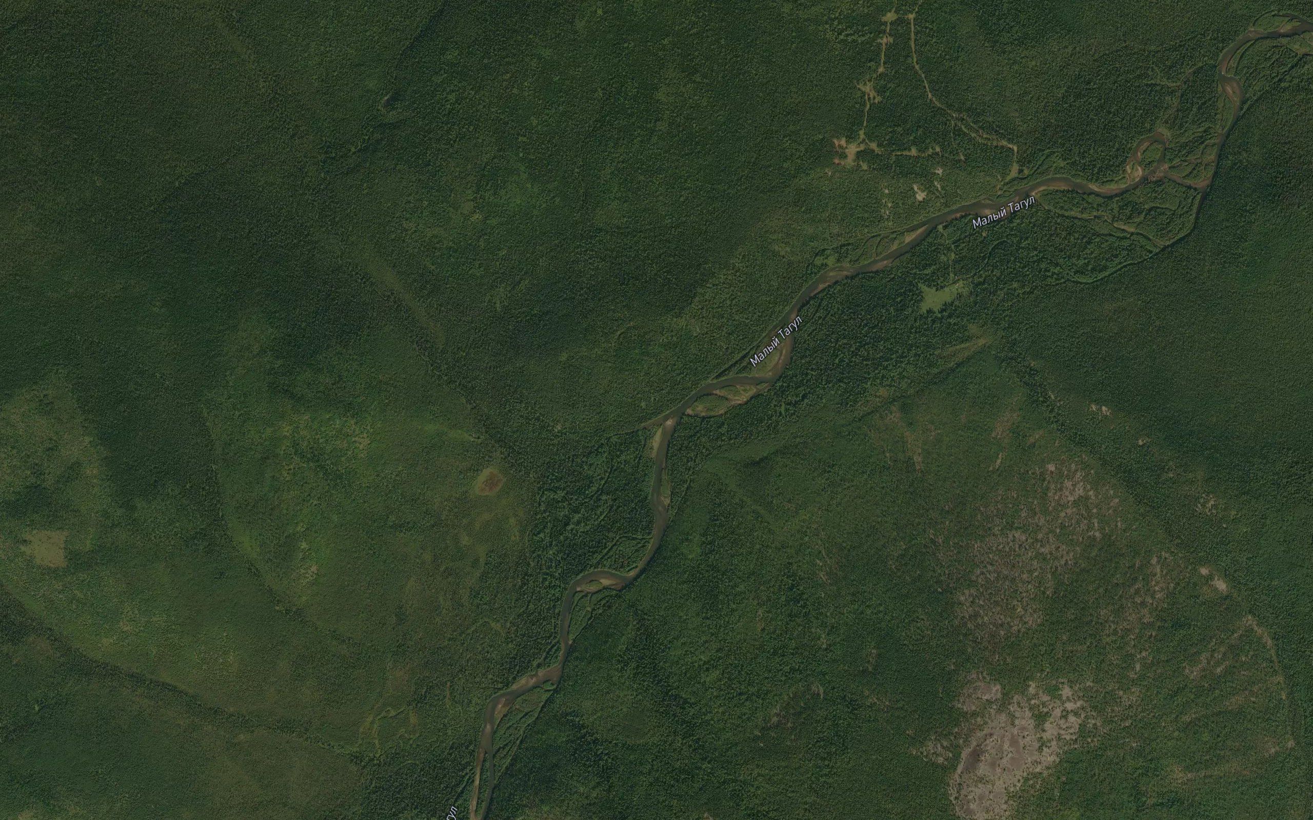 Kedrovaya