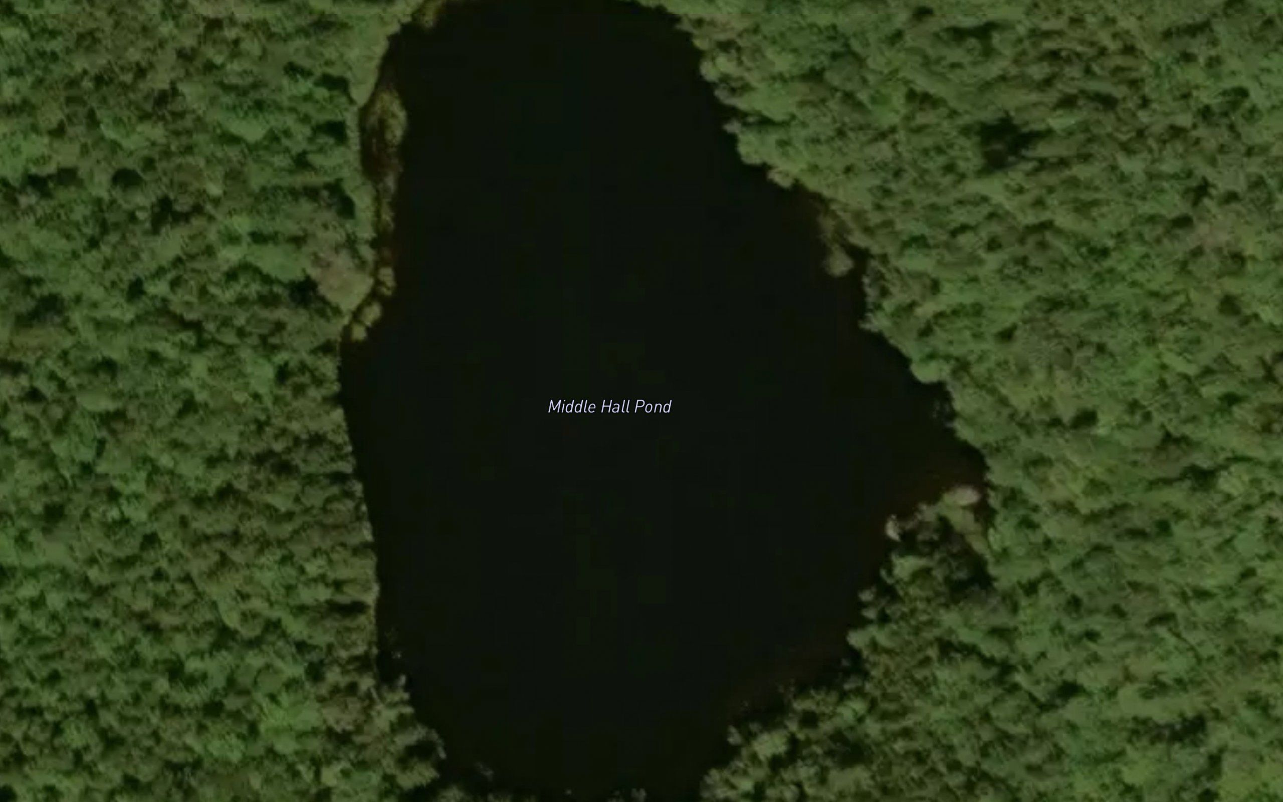 Hall Ponds