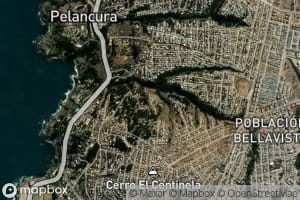 Caleta Panul