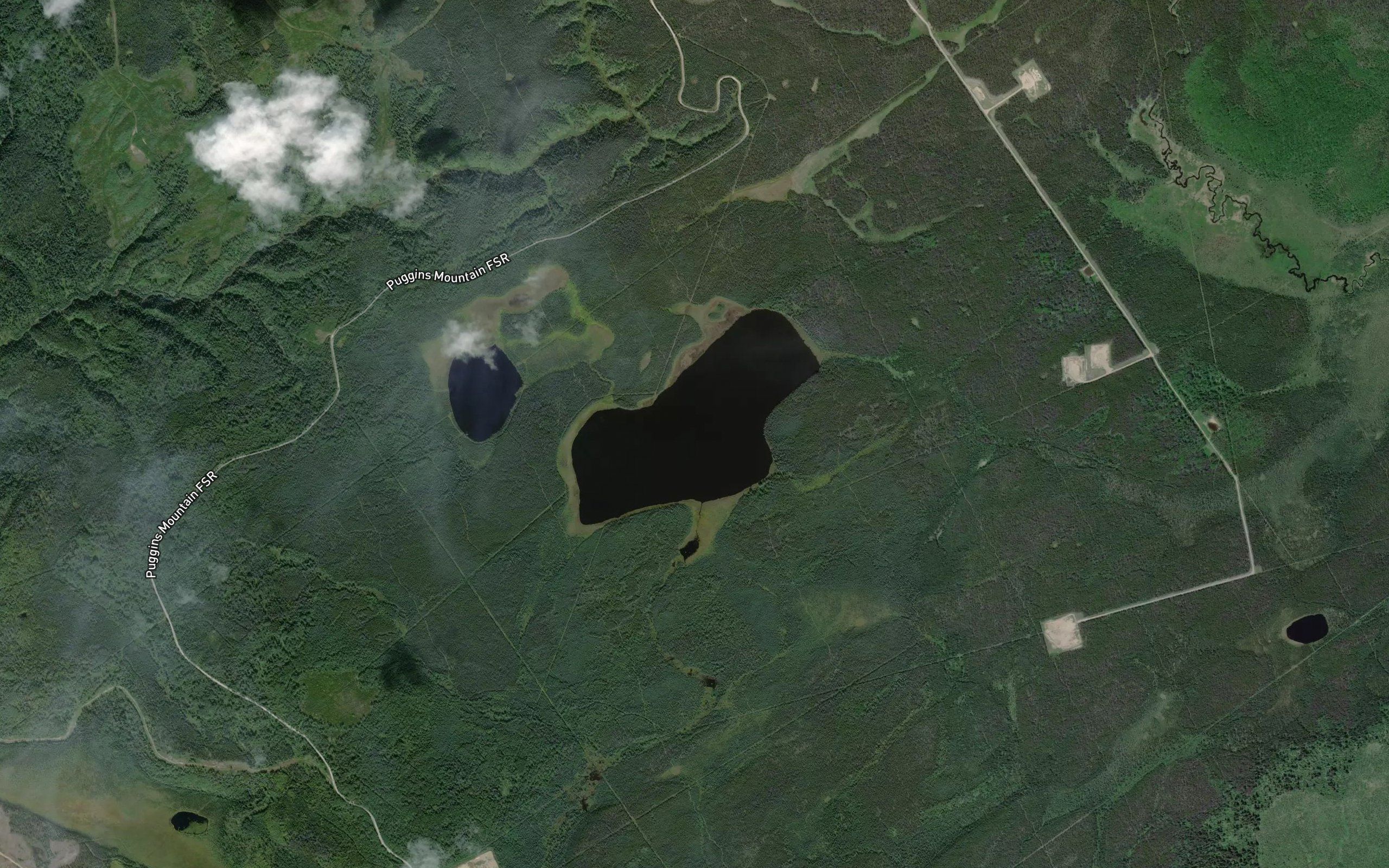 Wasp Lake