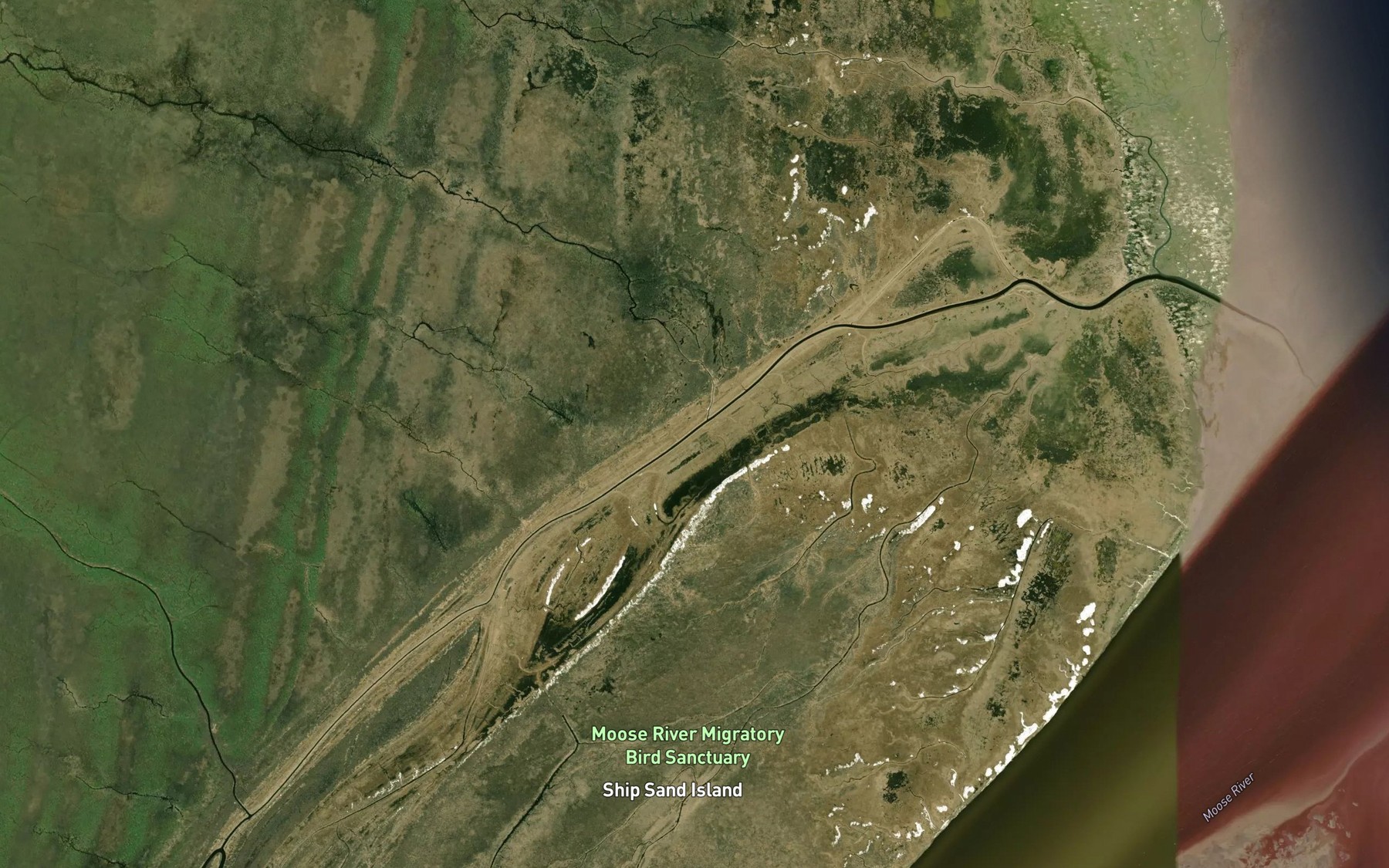 Satellite map of the South Whitetop Creek