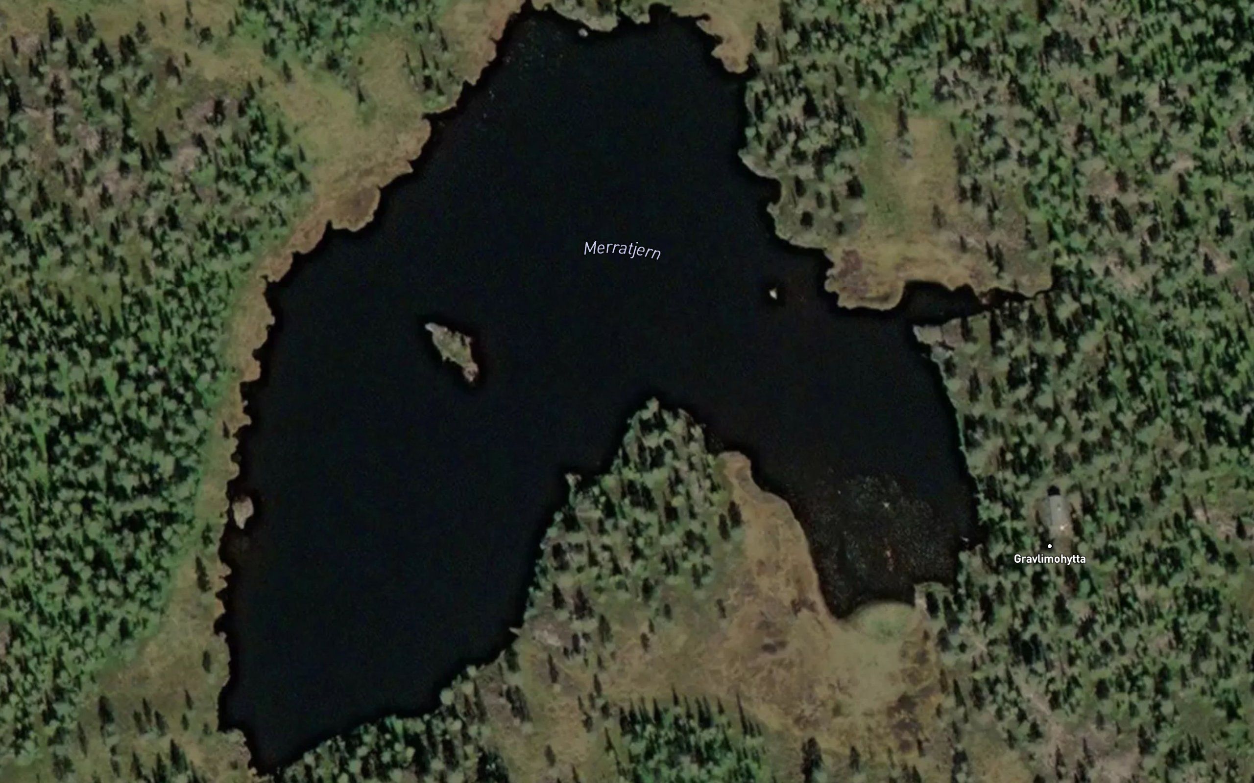 Merratjern