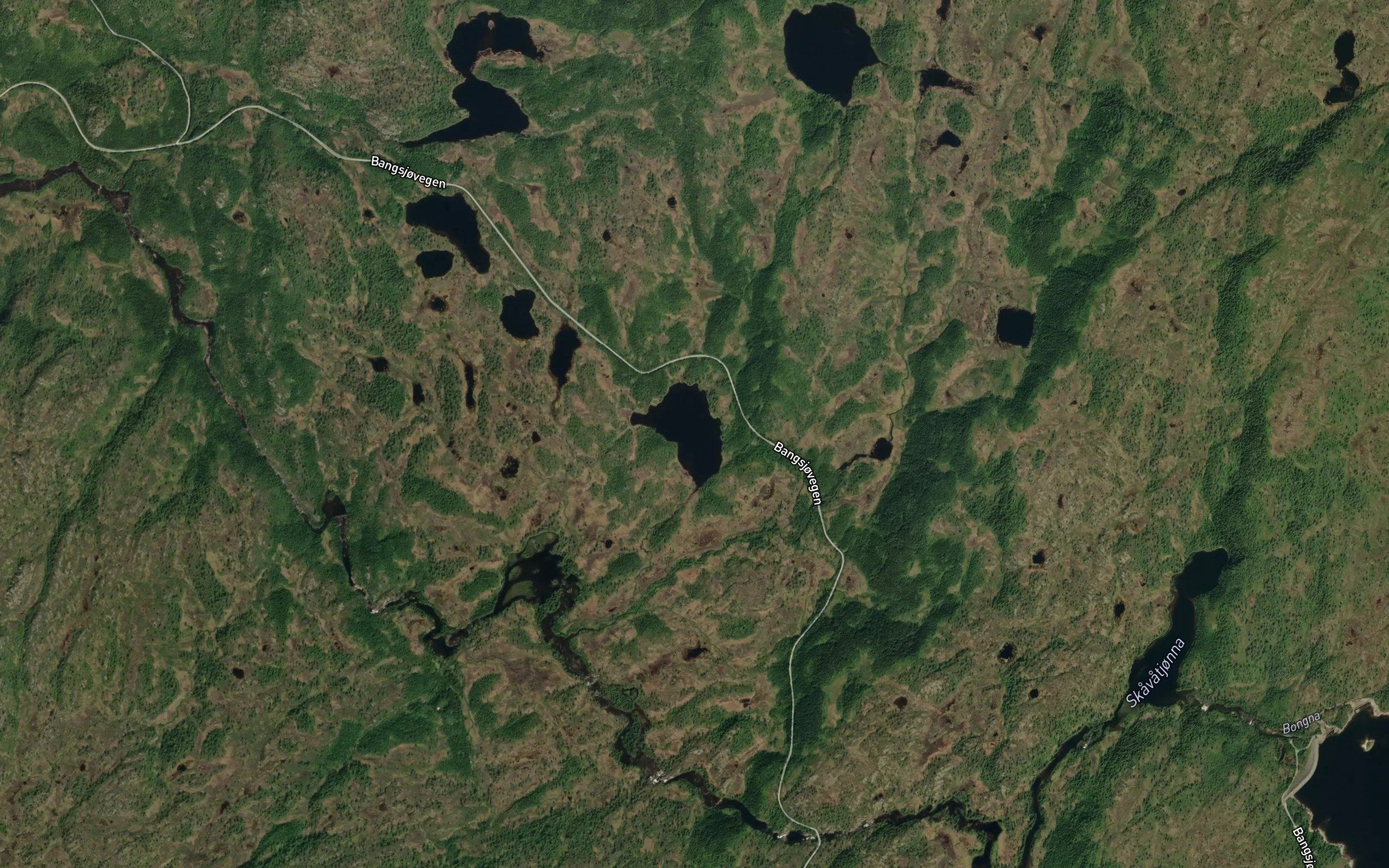 Kalvtjonna
