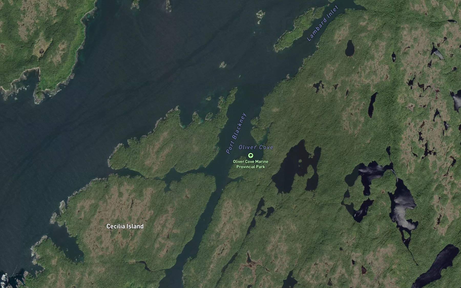 Satellite map of the Port Blackney