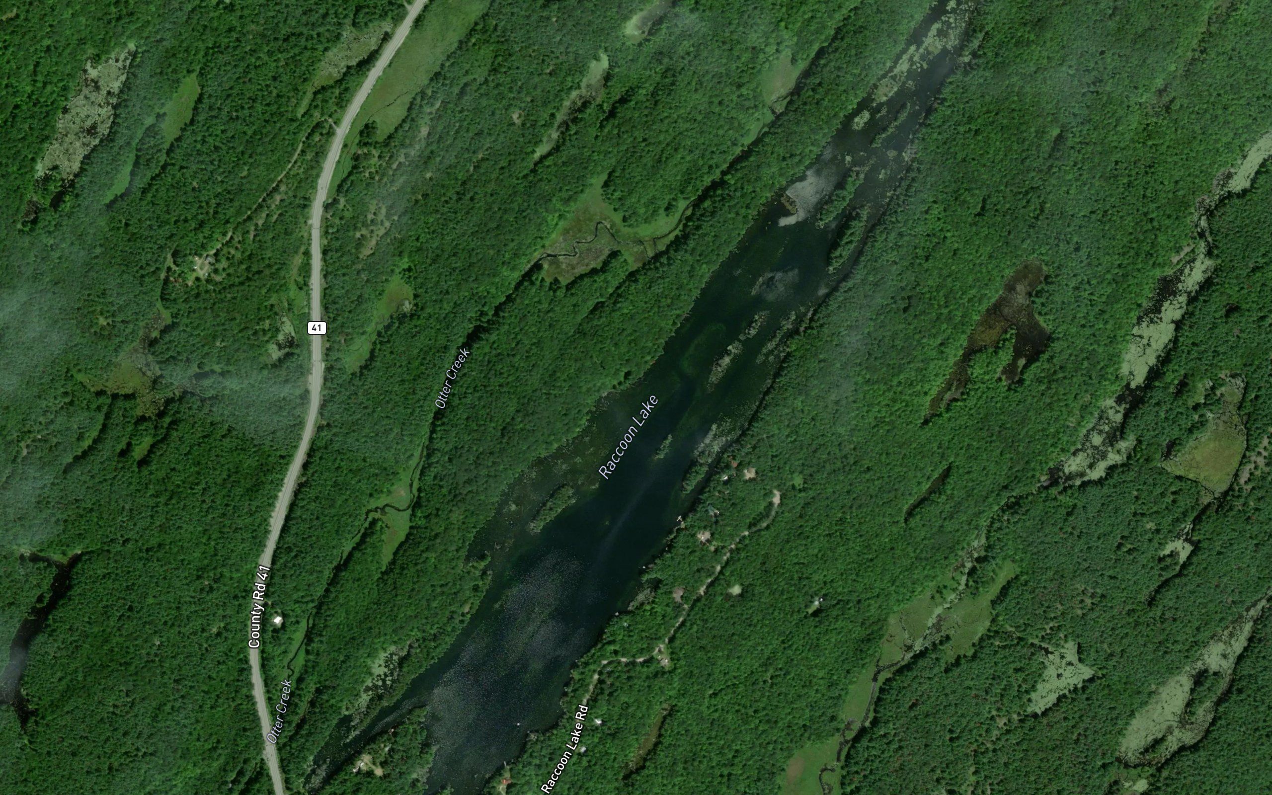 Raccoon Lake